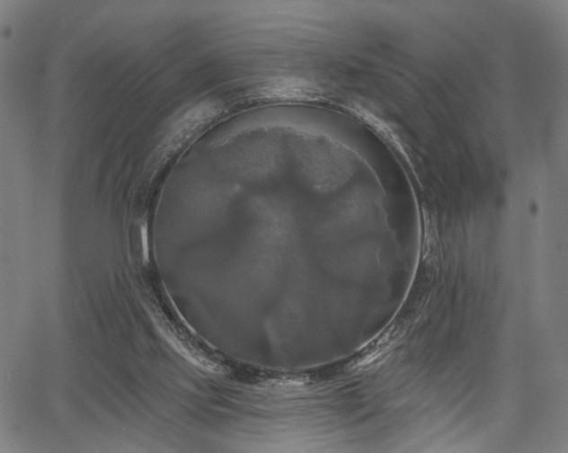 X0000067390061200604031043