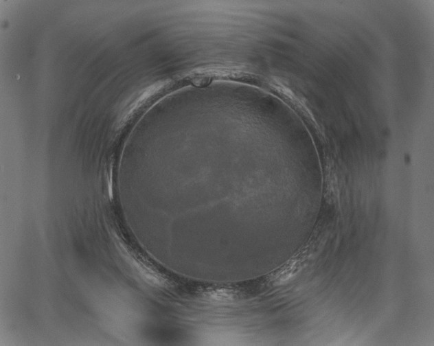 X0000067390062200604031043