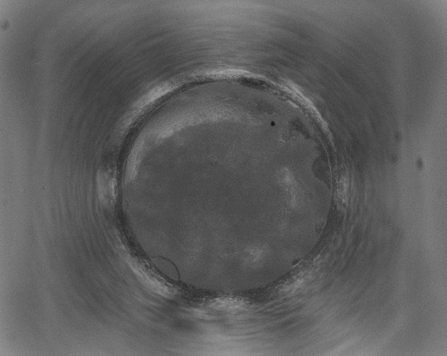 X0000067390063200604031043