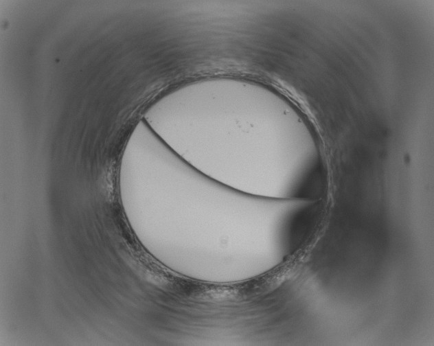 X0000067390065200604031043