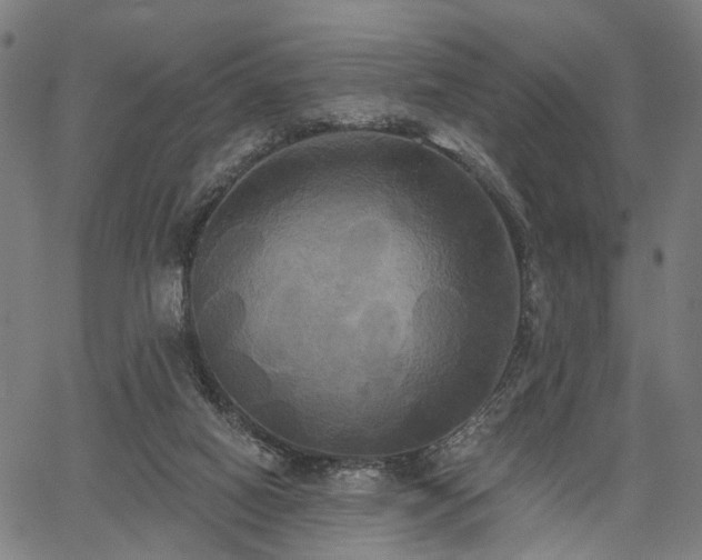 X0000067390066200604031043