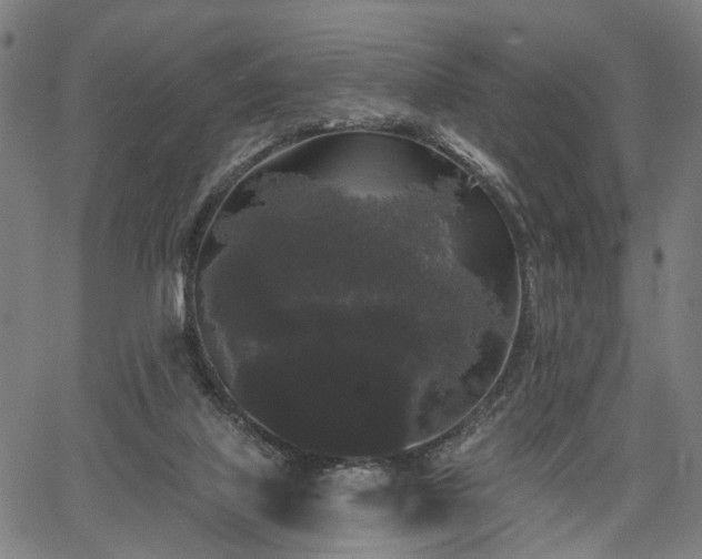 X0000067390067200604031043