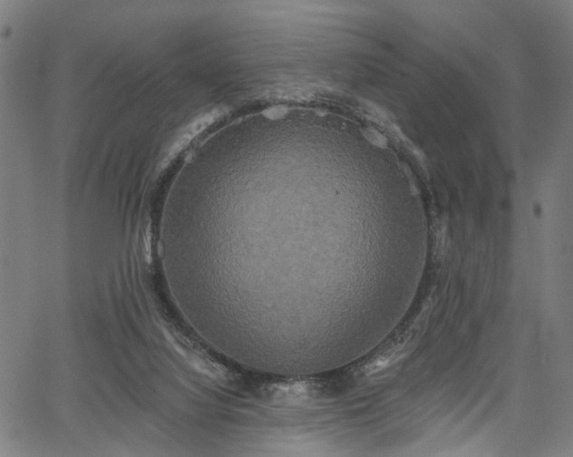 X0000067390068200604031043