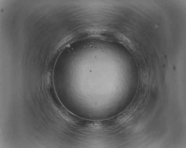 X0000067390071200604031043