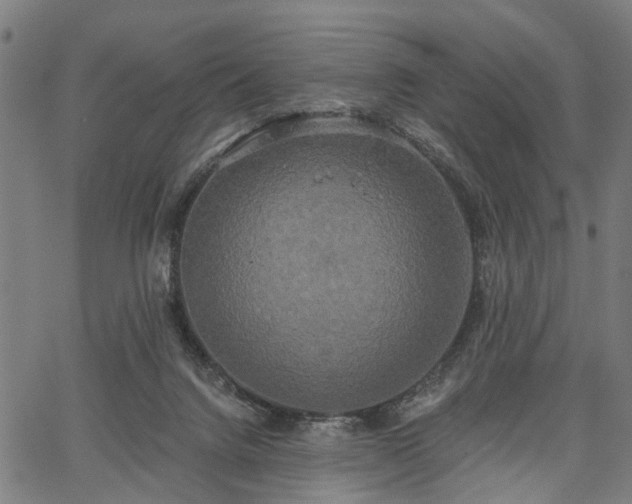 X0000067390072200604031043