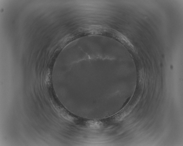 X0000067390073200604031043