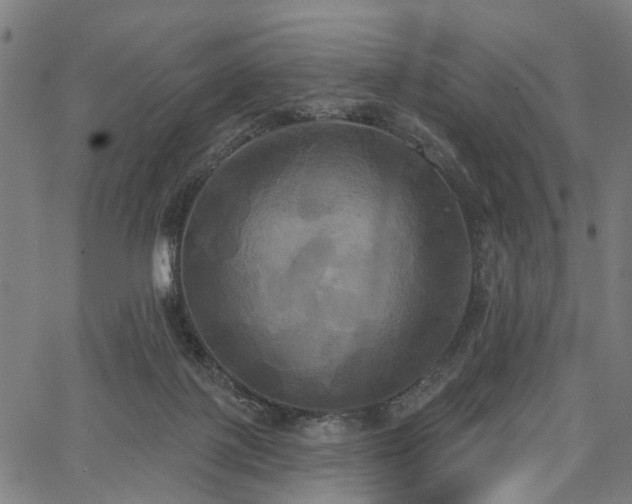 X0000067390075200604031043