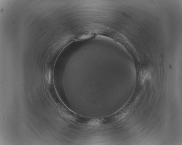 X0000067390076200604031043