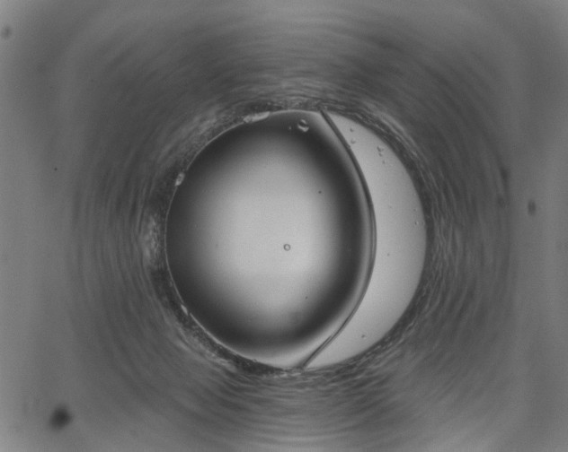 X0000067390077200604031043