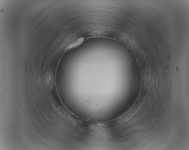 X0000067390079200604031043