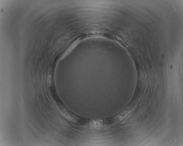 X0000067390080200604031043