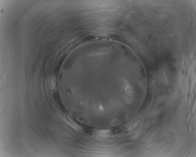 X0000067390081200604031043