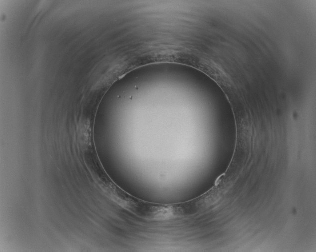 X0000067390083200604031043