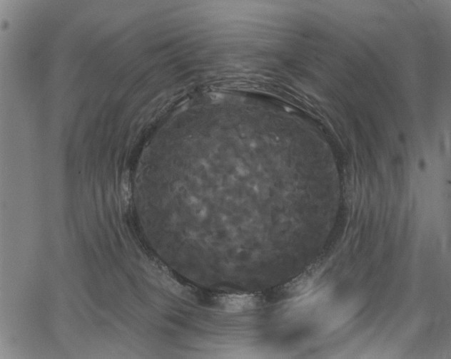 X0000067390085200604031043