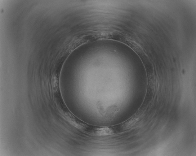 X0000067390087200604031043