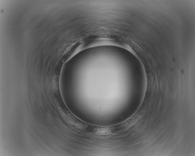 X0000067390088200604031043