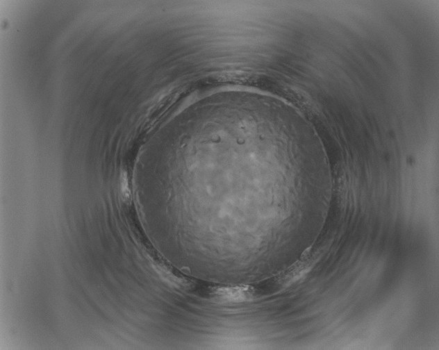 X0000067390089200604031043