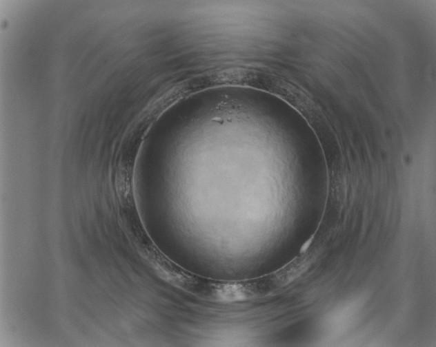 X0000067390091200604031043