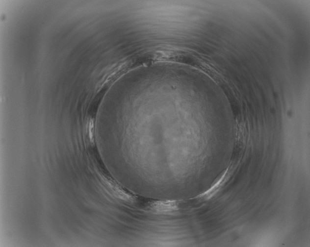 X0000067390094200604031043