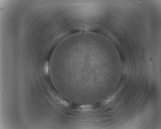 X0000067390095200604031043