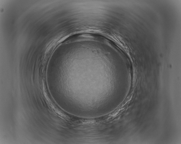 X0000067390097200604031043