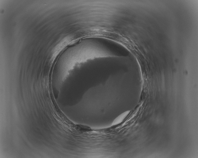 X0000067390099200604031043