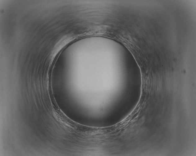 X0000067390100200604031043