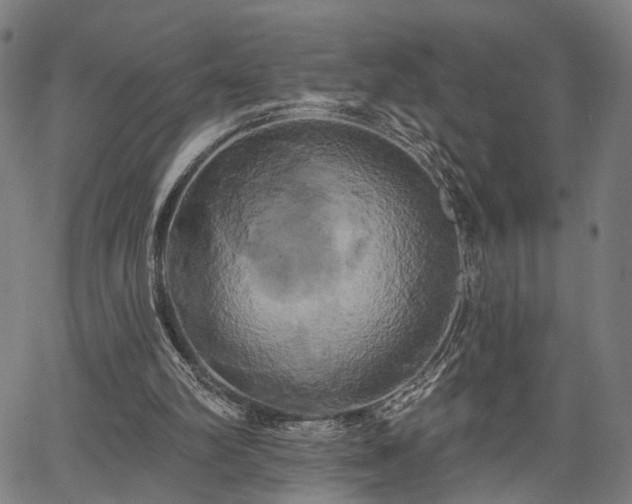 X0000067390102200604031043