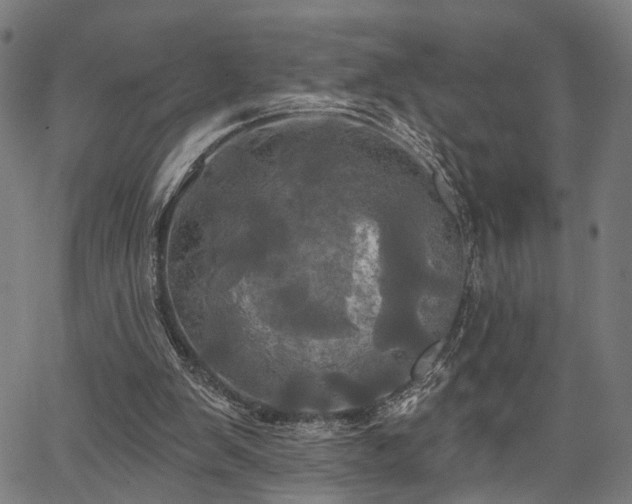 X0000067390103200604031043