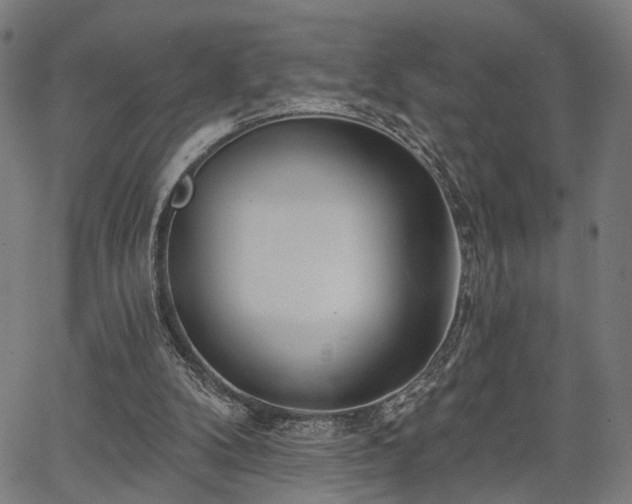 X0000067390104200604031042