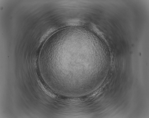 X0000067390106200604031042