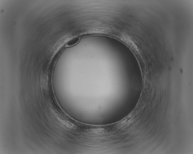 X0000067390108200604031042