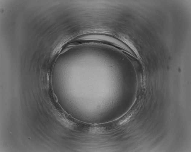 X0000067390109200604031042