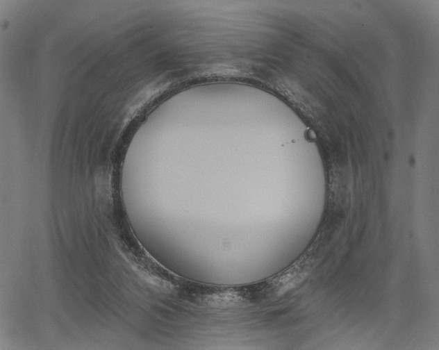 X0000067390112200604031042