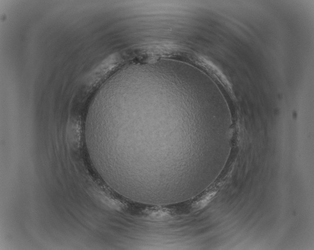 X0000067390113200604031042