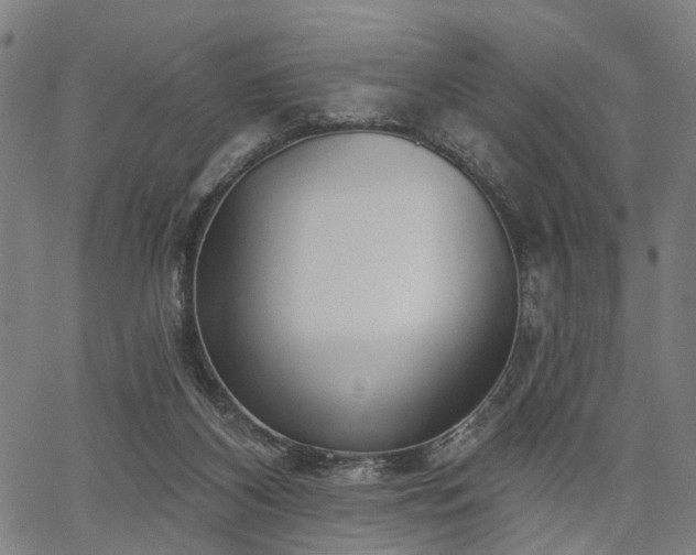 X0000067390116200604031042