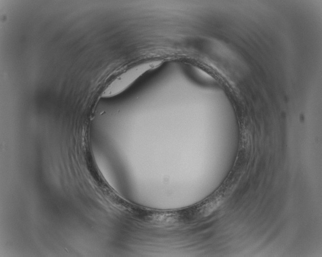 X0000067390117200604031042