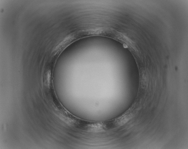 X0000067390118200604031042