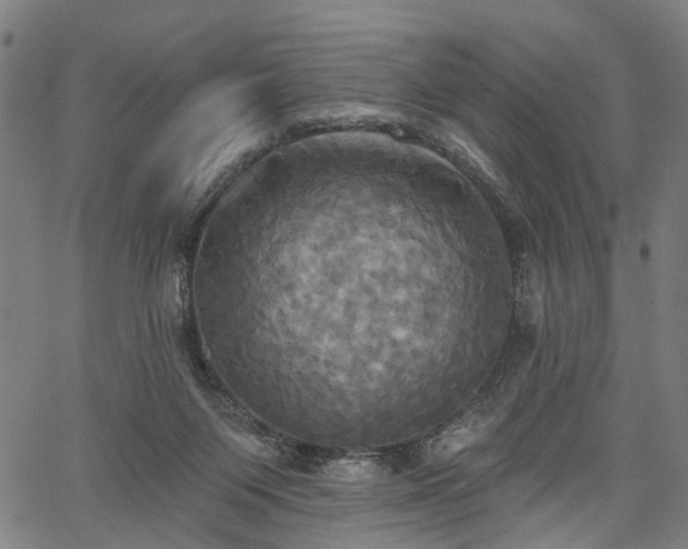 X0000067390119200604031042