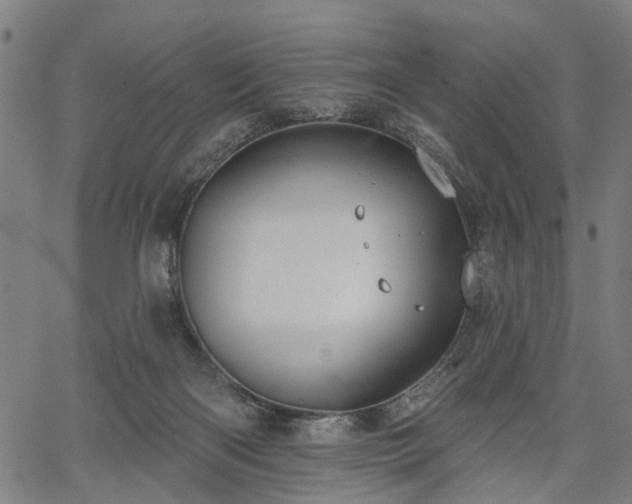 X0000067390122200604031042