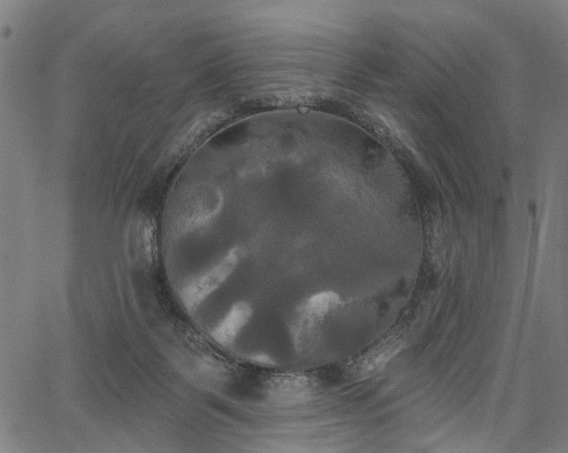 X0000067390123200604031042