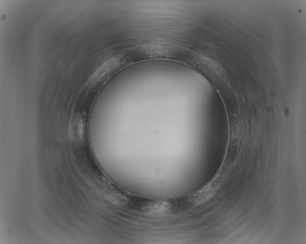 X0000067390124200604031042