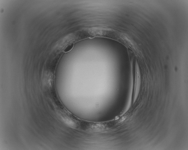 X0000067390125200604031042