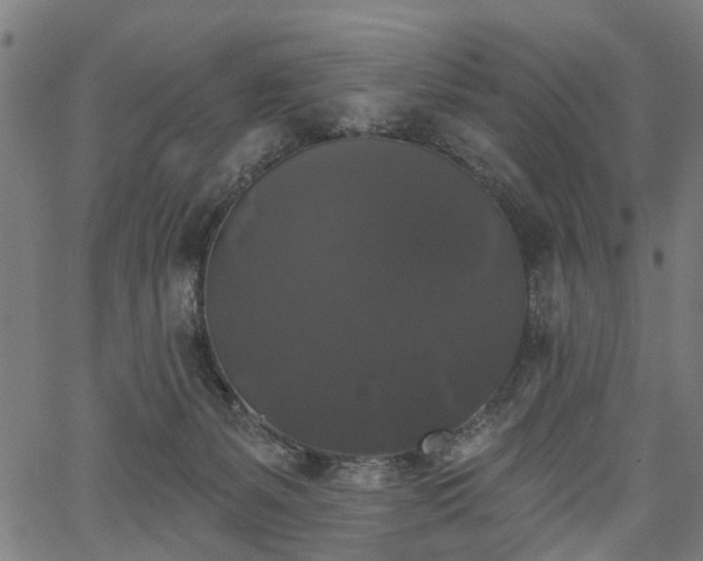 X0000067390127200604031042