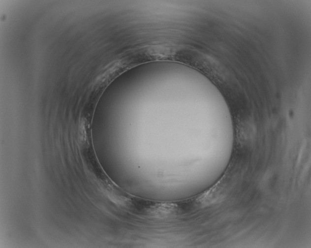 X0000067390128200604031042