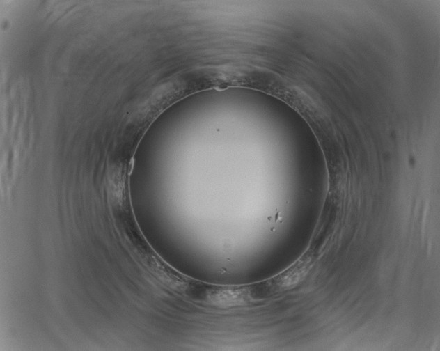 X0000067390129200604031042