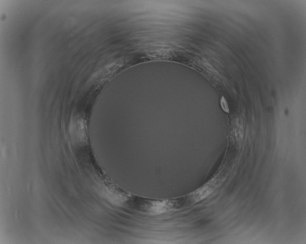 X0000067390130200604031042