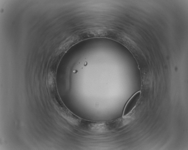 X0000067390132200604031042