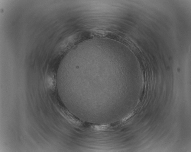 X0000067390134200604031042