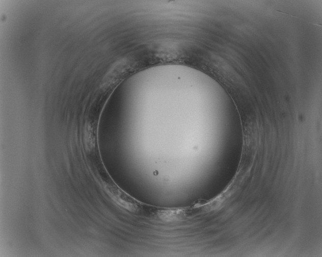 X0000067390136200604031042